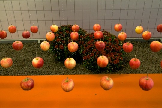 Apfelsaft statt Wein Apfelsaft statt Wein
